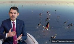 Bakan Kurum: Tuz Gölü flamingo cenneti olmaya devam edecek