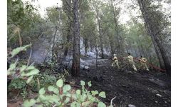 Burdur'daki orman yangını, 6 saatte kontrol altına alındı 