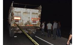 Ehliyetsiz sürücünün kullandığı kamyonet, TIR'a çarptı: 3 ölü