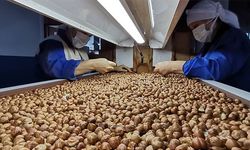 Fındıkta 2 milyar dolarlık ihracat hedefi