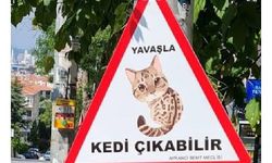 Hayvanseverlerden can dostları için 'Yavaşla' tabelaları