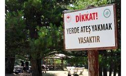 Mangal yasağı piknikçileri küstürdü ama yaban hayatı canlandı