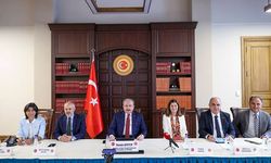 TBMM Başkanı Şentop'tan Çinli muhatabına 'Uygur Türkleri' mesajı