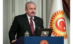 TBMM Başkanı Şentop'tan 'Malazgirt Zaferi' ve 'Büyük Taarruz' mesajı