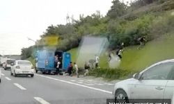 TEM'de kamyonet bozuldu; kaçak göçmenler koşarak kaçtı
