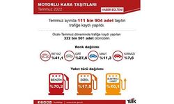 TÜİK: Temmuzda 111 bin 904 taşıtın trafiğe kaydı yapıldı