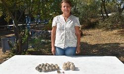 Ulucak Höyüğü, Ege'nin en eski tekstil üretim merkeziymiş