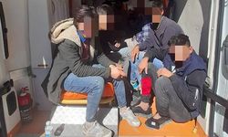 Ambulanstan 12 kaçak göçmen çıktı
