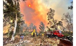 Antalya'daki orman yangınında 15 hektar zarar gördü