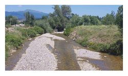 Bolu'da 1 kişinin öldüğü zehirlenme vakalarında hastanede 5 hasta kaldı