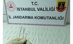 Eyüpsultan'daki 45 tüp kobra zehri ele geçirildi