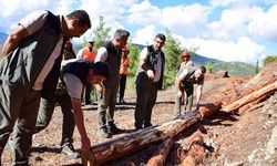 Hatay ormanlarında, 'gevşetme zonu' uygulaması