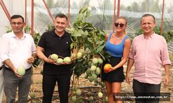 Ivana Sert Mango Topladı