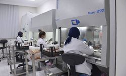 OGM’ye bağlı ilk ‘Doku Kültürü Laboratuvarı’ seri üretime başladı