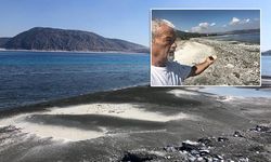 Salda'da 'salyalaşma' ve 'kararma' uyarısı
