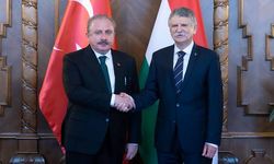 Şentop, Macaristan Meclis Başkanı Köver ile görüştü