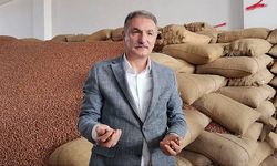 TMO Genel Müdürü Güldal: Günlük 2 bin 500- 300 bin ton fındık alımı yapılıyor