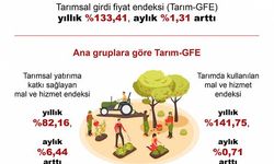 TÜİK: Tarımsal girdi fiyat endeksi, yıllık yüzde 133,41 arttı