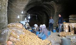 Afyonkarahisar'da patatesler, mağaralarda depolanıyor