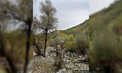 İçişleri: Muş'ta 'Eren Abluka Sonbahar Kış-5 Operasyonu' başlatıldı