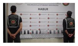 Ticaret Bakanlığı: Habur'da çok sayıda kaçak cep telefonu ele geçirildi