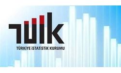 TÜİK, devlet hesaplarına ilişkin verileri açıkladı
