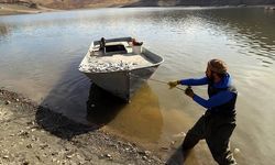 2 milyon metreküp suyu kalan Zernek Baraj Gölü'nde balık ölümleri