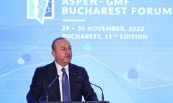 Çavuşoğlu: Türkiye’nin başarısı, Avrupa’nın da başarısıdır