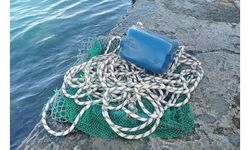 Marmara Denizi'nde kaçak avlanan 1 ton midye ele geçirildi
