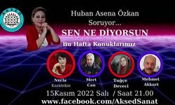 SEN NE DİYORSUN