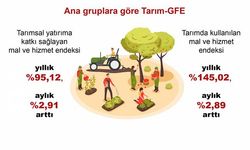 TÜİK: Tarımsal girdi fiyat endeksi eylülde arttı