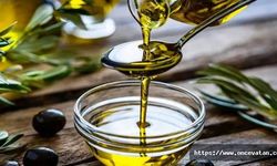 Zeytinyağı Fiyatları Nelerdir?