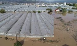 Sel felaketinin yaşandığı Kumluca'da hale giren ürün, yüzde 90 azaldı