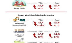 TÜİK: Sanayi üretimi yıllık yüzde 2,5 arttı