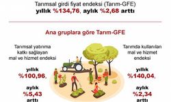 TÜİK: Tarımsal girdi fiyat endeksi ekimde arttı