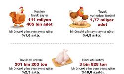 TÜİK: Yumurta ve tavuk eti üretimi arttı, inek sütü miktarı azaldı