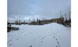 Doğu Anadolu'da kar ve soğuk hava etkili oldu
