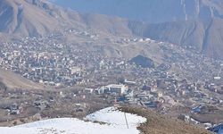 En fazla kar yağan illerden Hakkari ve Muş, bu kış kara hasret kaldı