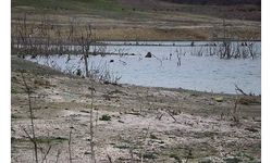 Kuraklık ve yağış azlığının etkisiyle Yazır Barajı'nın su seviyesi düştü
