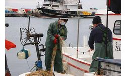 Tekirdağlı balıkçılar avın bollaşması için havanın ve deniz suyunun soğumasını bekliyor