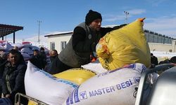 Depremden etkilenen Elbistan'da besicilere ücretsiz yem desteği