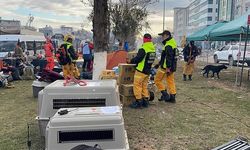 Tayvan'dan 44 kişilik arama kurtarma ekibi Adıyaman'da