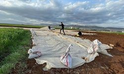 Adıyamanlı depremzede çiftçiler, tütün ekimine başladı