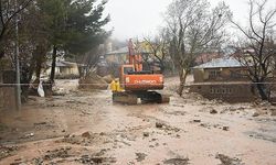 AFAD: Adıyaman ve Şanlıurfa'daki su baskınları nedeniyle 5 kişi hayatını kaybetti