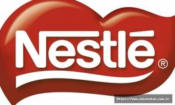 Fransa'da Nestle, pizzalarında bakteri çıkan Buitoni markasının fabrikasını kapattı