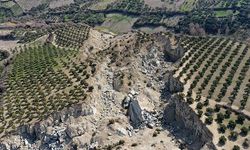 Hatay'da, depremde ikiye bölünen zeytinliğin bulunduğu bölge için kritik uyarı