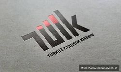 TÜİK'teki bazı daire başkanlıklarının isim ve görevlerinde değişikliğe gidildi