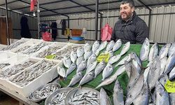 Zonguldaklı balıkçıların yüzünü palamut güldürdü