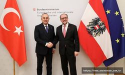 Dışişleri Bakanı Çavuşoğlu, Avusturyalı mevkidaşı Schallenberg ile görüştü