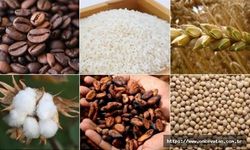Emtia piyasası, hızlı yükselişlerin yaşandığı bir haftayı geride bıraktı